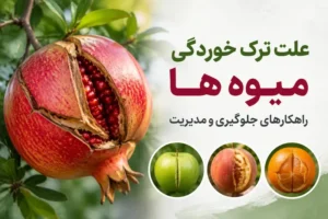 علت ترک خوردن میوها