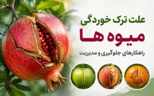 علت ترک خوردن میوها