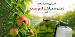 زمان سمپاشی کرم سیب نسل یک و دو باسایپرمترین هندی 40%