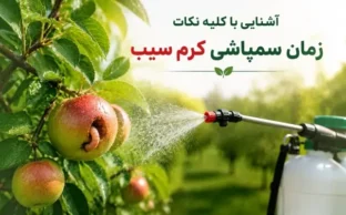 زمان سمپاشی کرم سیب نسل یک و دو باسایپرمترین هندی 40%