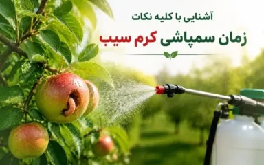 زمان سمپاشی کرم سیب نسل یک و دو باسایپرمترین هندی 40%