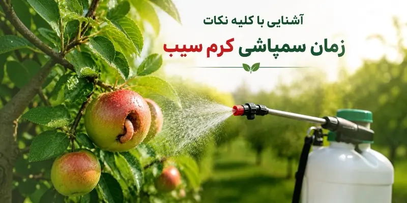 زمان سمپاشی کرم سیب نسل یک و دو باسایپرمترین هندی 40%