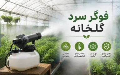 فوگر سرد